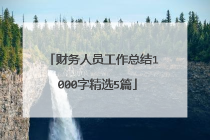 财务人员工作总结1000字精选5篇