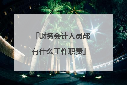 财务会计人员都有什么工作职责