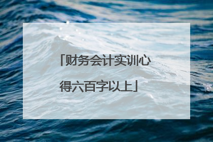 财务会计实训心得六百字以上