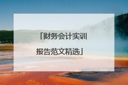 财务会计实训报告范文精选