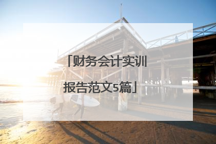财务会计实训报告范文5篇
