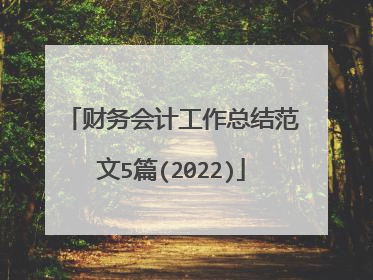 财务会计工作总结范文5篇(2022)