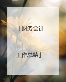 财务会计工作总结