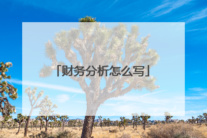 财务分析怎么写