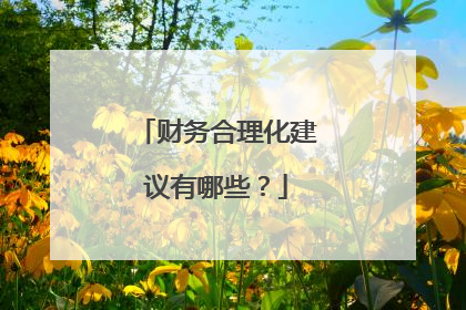 财务合理化建议有哪些?