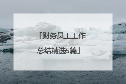 财务员工工作总结精选5篇