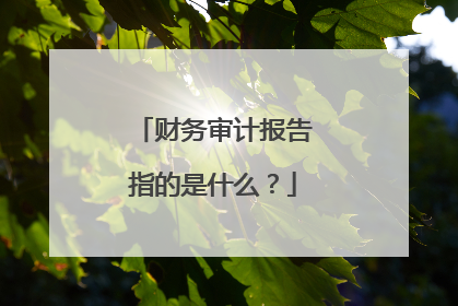 财务审计报告指的是什么?