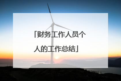 财务工作人员个人的工作总结
