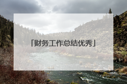 财务工作总结优秀