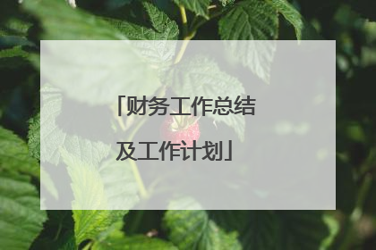 财务工作总结及工作计划