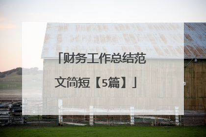 财务工作总结范文简短【5篇】