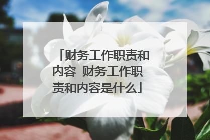 财务工作职责和内容 财务工作职责和内容是什么