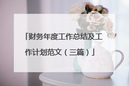 财务年度工作总结及工作计划范文(三篇)