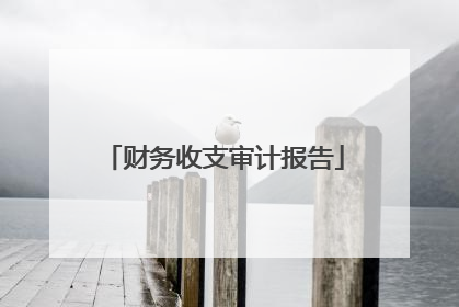 财务收支审计报告