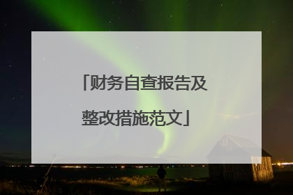 财务自查报告及整改措施范文