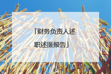 财务负责人述职述廉报告