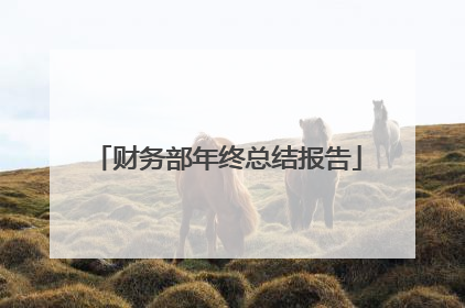 财务部年终总结报告
