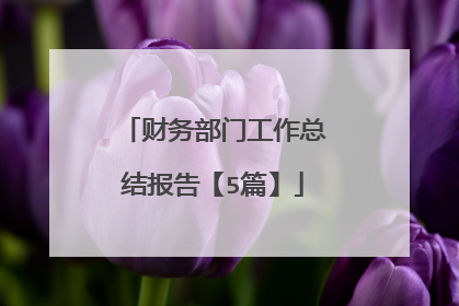 财务部门工作总结报告【5篇】