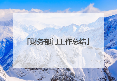 财务部门工作总结