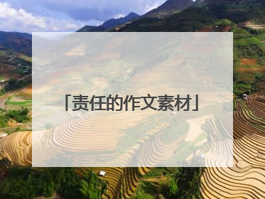 责任的作文素材