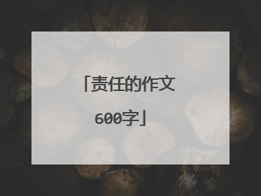 责任的作文600字