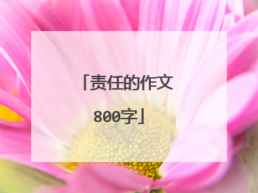 责任的作文800字