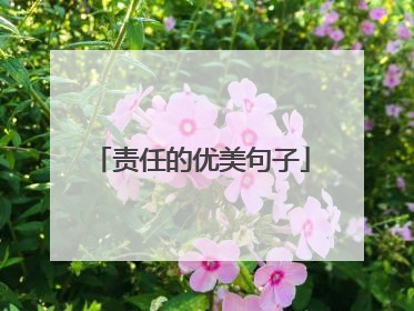 责任的优美句子