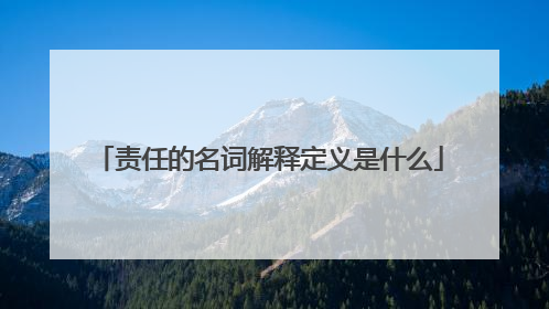 责任的名词解释定义是什么