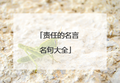 责任的名言名句大全