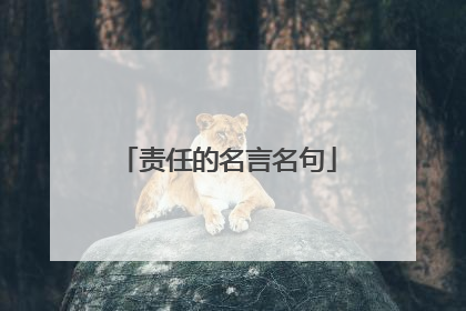 责任的名言名句