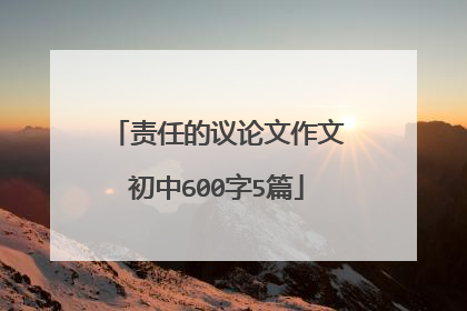 责任的议论文作文初中600字5篇