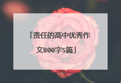 责任的高中优秀作文800字5篇