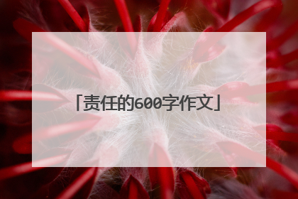 责任的600字作文