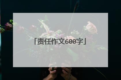责任作文600字