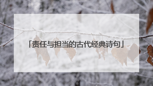 责任与担当的古代经典诗句