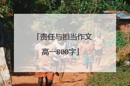 责任与担当作文高一800字