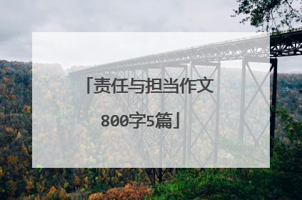 责任与担当作文800字5篇