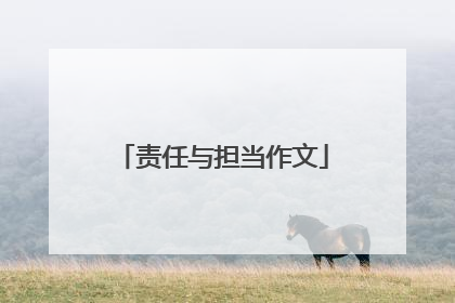 责任与担当作文