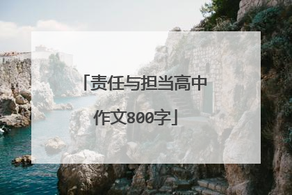 责任与担当高中作文800字