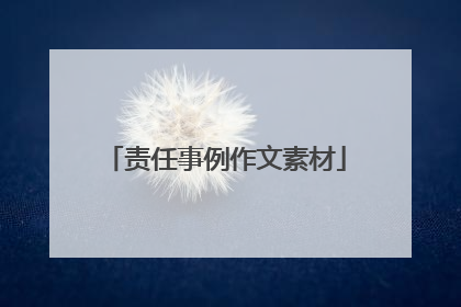 责任事例作文素材