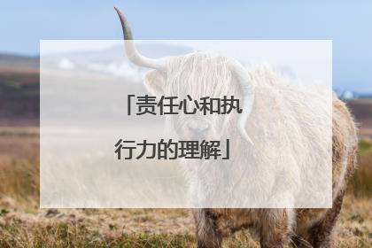 责任心和执行力的理解