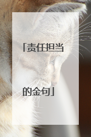 责任担当的金句