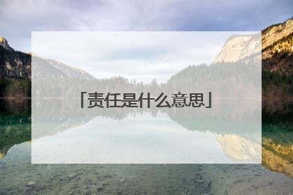 责任是什么意思