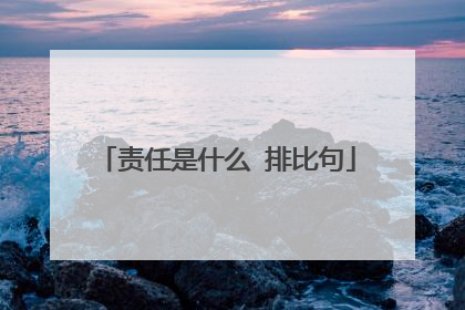 责任是什么 排比句