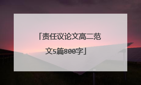 责任议论文高二范文5篇800字