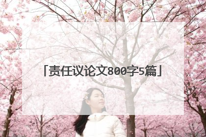 责任议论文800字5篇