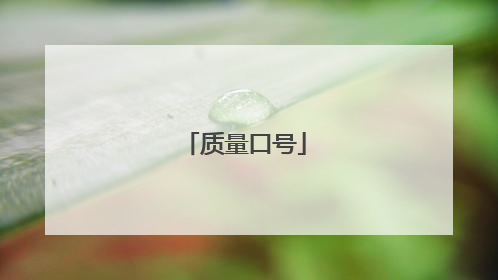 质量口号