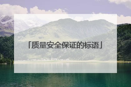质量安全保证的标语
