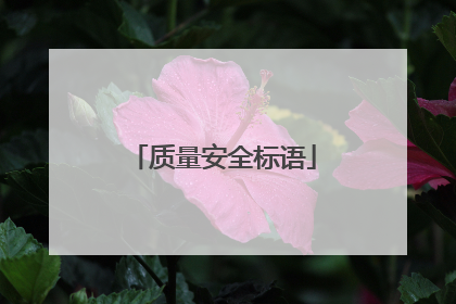 质量安全标语