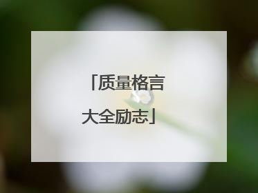 质量格言大全励志